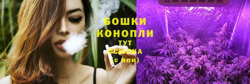 Канабис OG Kush  Власиха 